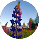 Seiki_mola profile picture